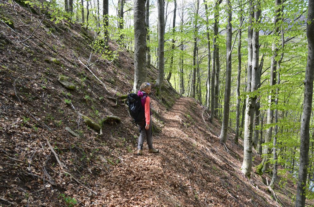 Aldeamento Turístico Il Rifugio Dell'aquila Ligonchio